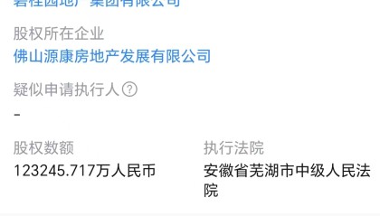 碧桂园地产被冻结12.3亿元，被执行金额超62亿