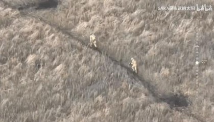 杀一个人得6分，积60分可兑换新型无人机！乌军打仗施行积分制