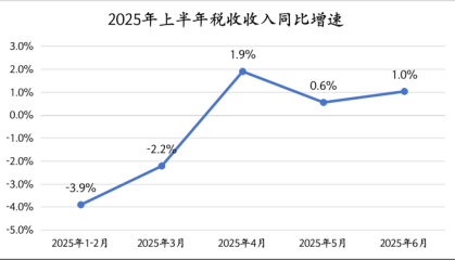 盘点上半年国家账本：税收收入逐渐回升，财政靠前发力明显 | 中国经济半年报④
