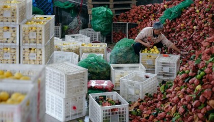 拼多多的下一个十年：“Costco+Disney”照进现实