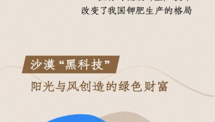 环着沙漠看新疆|新疆沙漠里的宝藏穿越“死亡之海”的生命奇迹