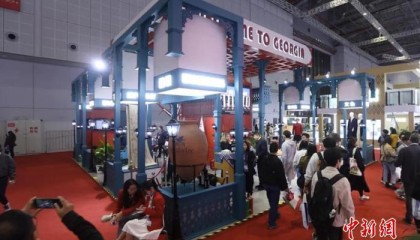 （进博故事）格鲁吉亚与进博“醉美”相遇