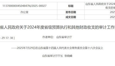 山东通报审计工作报告：两市向505名死亡人员发放养老保险