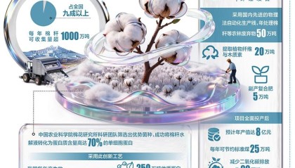 新疆棉秆如何点“草”成金