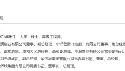 华侨城组织架构再调整，正式进入“吴秉琪时代”