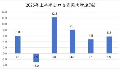 上半年我国出口同比增长5.9%，韧性来自哪里？