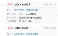 精品咖啡Seesaw Coffee公司经营异常，被执行金额超299万
