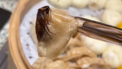 游客在长沙桔子酒店吃出蟑螂,酒店方回应:已在配合调查