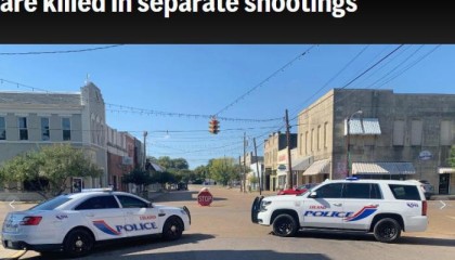 “可怕的场景”美国一夜发生多起枪击案已致8死多伤