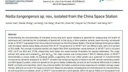 首次公布!中国空间站内发现微生物新物种