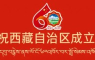 2025西藏顶配答卷：团结是笔，奋斗是墨