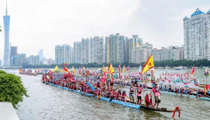湾区龙舟“划”向世界