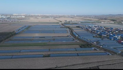 高质量发展看中国|绿色通道达境外输送三江“一口鲜”