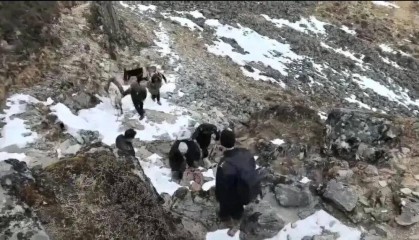 男子违规擅闯海螺沟失联后获救，被罚款后还需承担救援费