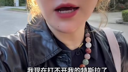 杨天真称特斯拉打不开车门,客服:系统更新中建议不要动车