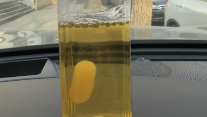 用东方树叶养出“茶菌宠物”？农夫山泉工作人员回应