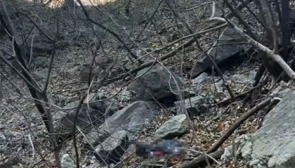 男子在河南南太行失联43天，有人发现疑似遗体及物品，其父已赶往现场