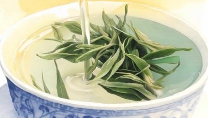 【文化和自然遗产日】漫动时节丨茶:人在草木间