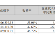 再次高溢价“入手”芯片公司，探路者面临四大风险