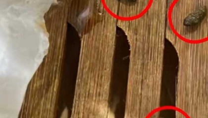 小笼包蒸笼疑现老鼠屎，百年老店知味观深夜致歉