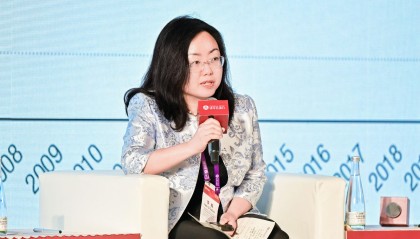联合国贸发会议投资与企业司司长李楠:项目融资大幅下降值得关注
