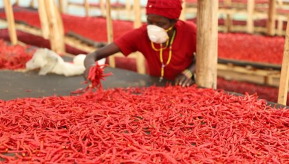 【中国那些事儿】非洲学者：中国对非零关税政策体现扩大开放决心为非洲发展带来新机遇