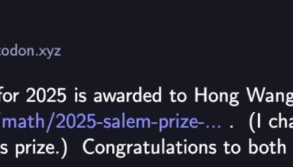 广西籍90后数学家王虹，拿下超级大奖！127页论文证明国际数学难题，北大演讲韦东奕首排听讲