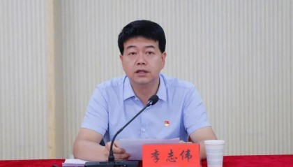 李志伟，干扰巡视工作