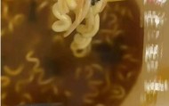 今麦郎方便面被指吃出虫卵,公司回应:正在跟进