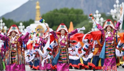 （辉煌60载魅力新西藏）布达拉宫广场上的“见证者”“参与者”“亲历者”